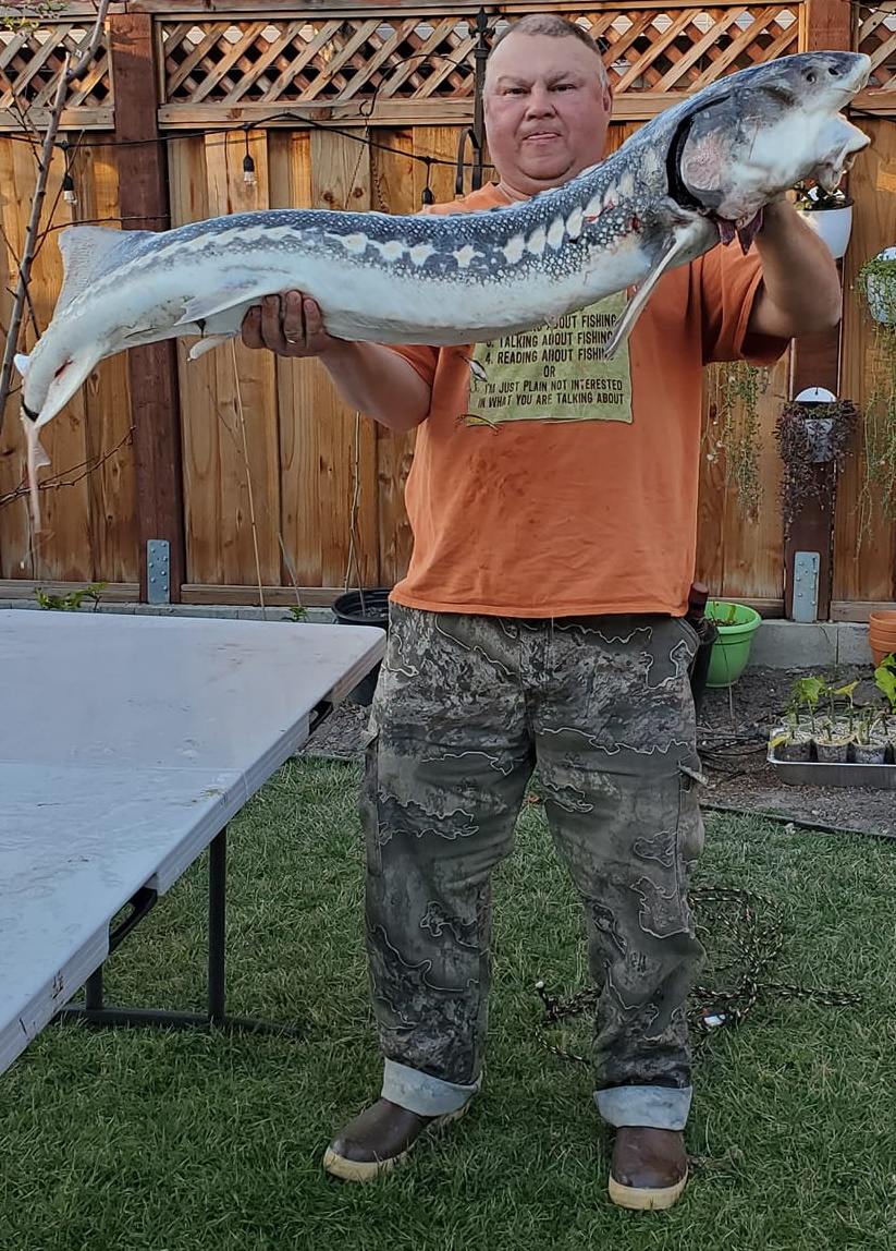 54 inch sturgeon from South Bay